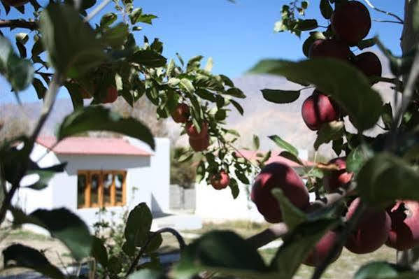 Himalayan Eco Resort Hundar 外观 照片
